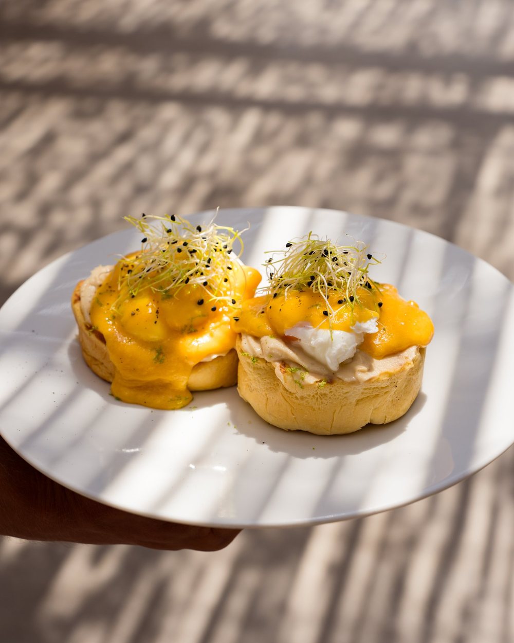 Eggs benedict in palm-leaf shadows, food photography in Lefkada